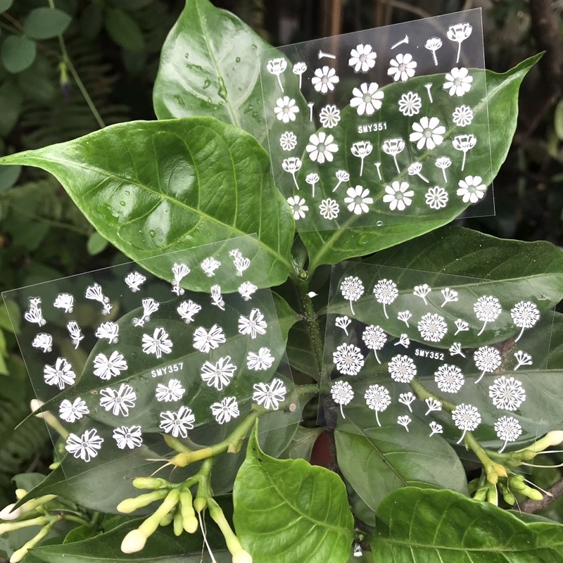 Sticker dán móng nail hoa cúc hoa cỏ may 3d