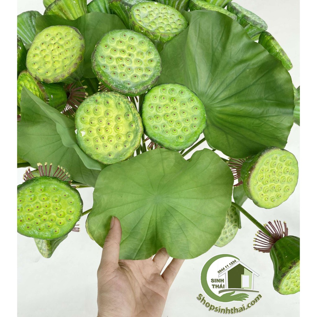 Lá sen, gương sen giả - cành gương lá sen giả cao cấp Thái Lan - chọn cành