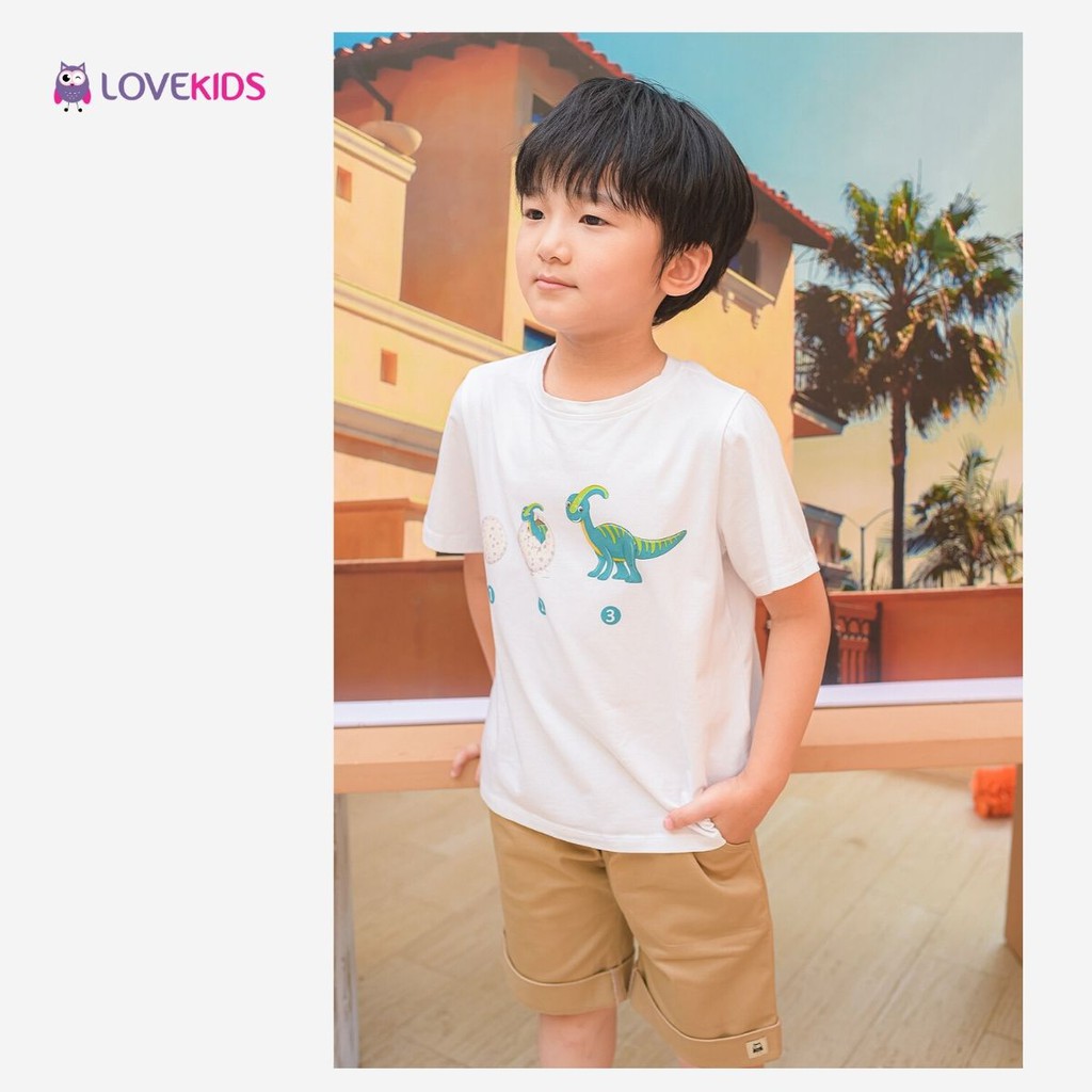 Áo phông Cotton bé trai khủng long áo thun cho bé từ 6-12 tuổi LOVEKIDS