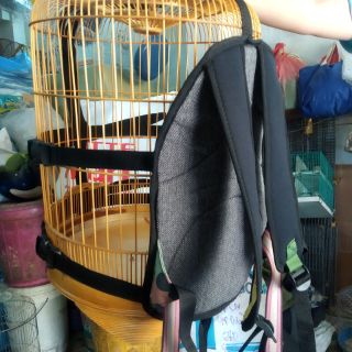 Balo đeo lồng chim