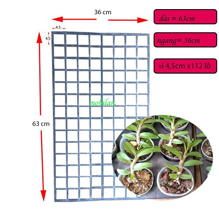 Khay (vỉ) đựng cốc trồng lan cấy mô 112 ô