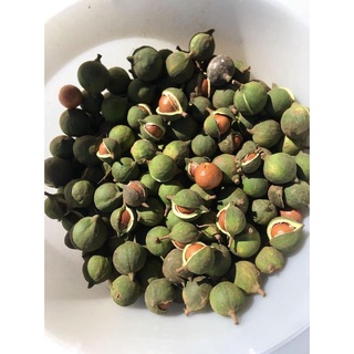 MẮC CA RỪNG LAI CHÂU ( 1 TÚI - 1KG)