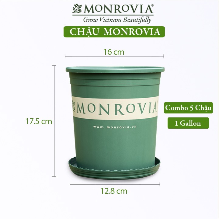 Combo 5 Chậu nhựa trồng cây MONROVIA 1 Gallon, để bàn, treo ban công, ngoài trời, sân vườn, tiêu chuẩn Châu Âu
