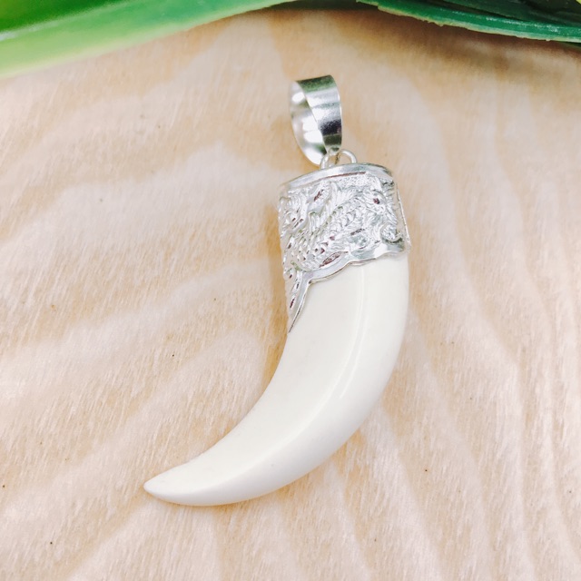 Nanh giả bọc bạc