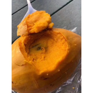 cây giống trứng gà Đài Loan