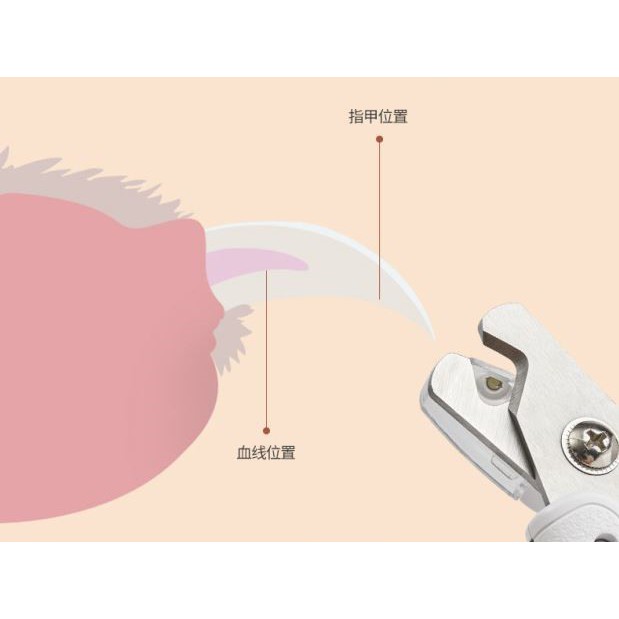 Kềm Cát Móng Có Đèn LED , Dũa Móng Dành Cho Thú Cưng