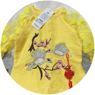 Áo dài cách tân thêu