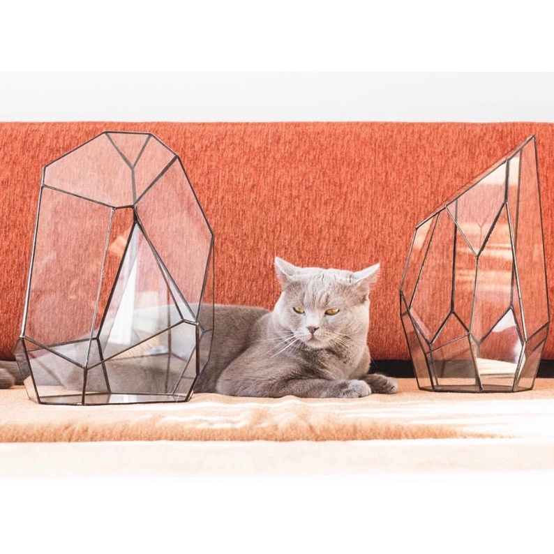 Bình thủy tinh terrarium tiểu cảnh bán cạn đa giác mẫu A3