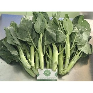 [RẺ VÔ DỊCH] Hạt giống cây cải làn (10 gram)