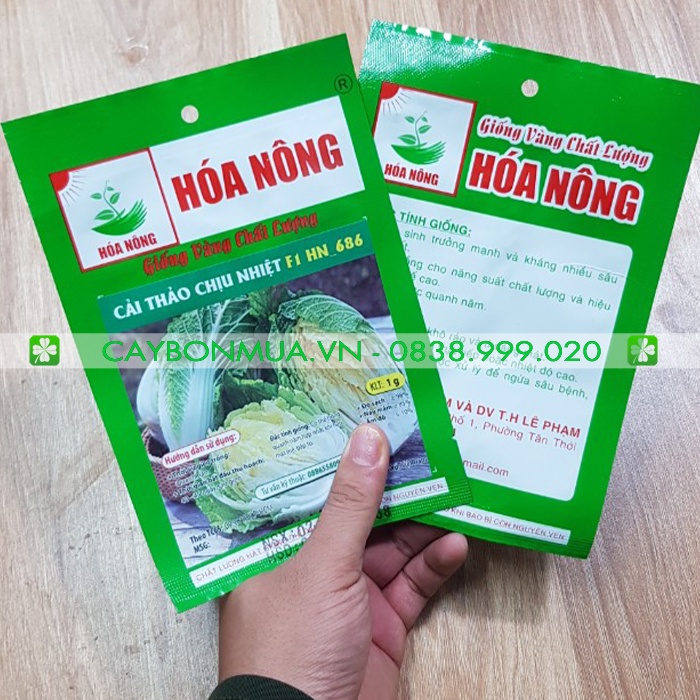 Cải Thảo Chịu Nhiệt [Giống vàng chất lượng] Gói 1g