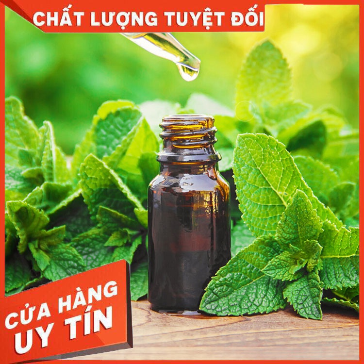 Tinh Dầu ,Hương thơm cho son Nguyên liệu làm mỹ phẩm Nguyên liệu làm son handmde &lt;3 Panda Store