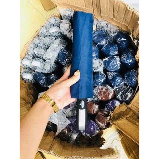 Ô tự động cao cấp