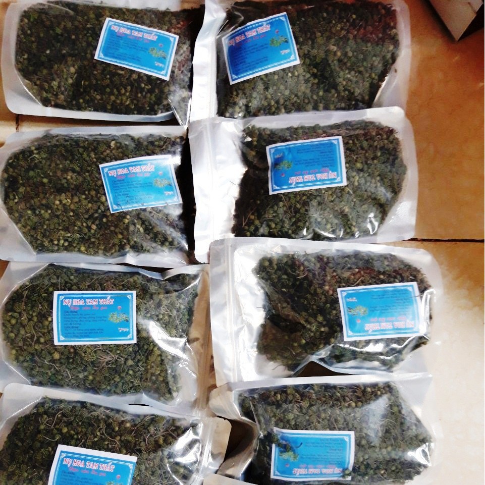 1 Kg Nụ tam thất Bao tử, loại đẹp nhất