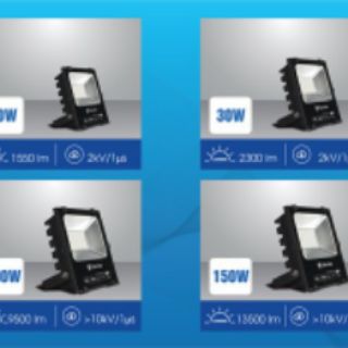 Đèn chiếu pha  Rạng Đông DCP06L / 50w