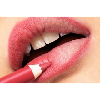 Chì kẻ môi Mikvonk Professional Lipliner Pencil