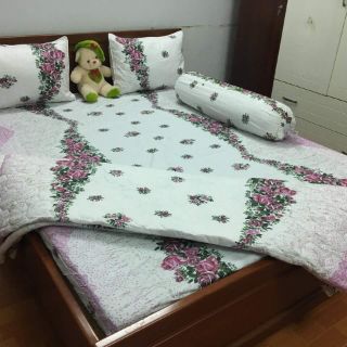 Drap Thắng Lợi hồng leo