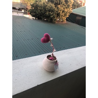 Chậu cây trái tim len handmade