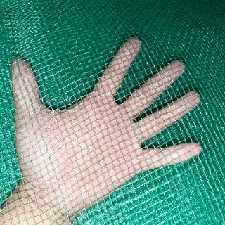 Lồng nuôi cá trê đồng