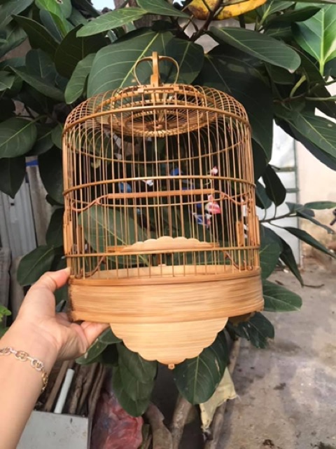 LỒNG KHUYÊN TRE ĐẸP// SIZE 26*30