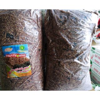Sỉ 5kg gạo lứt rong biển