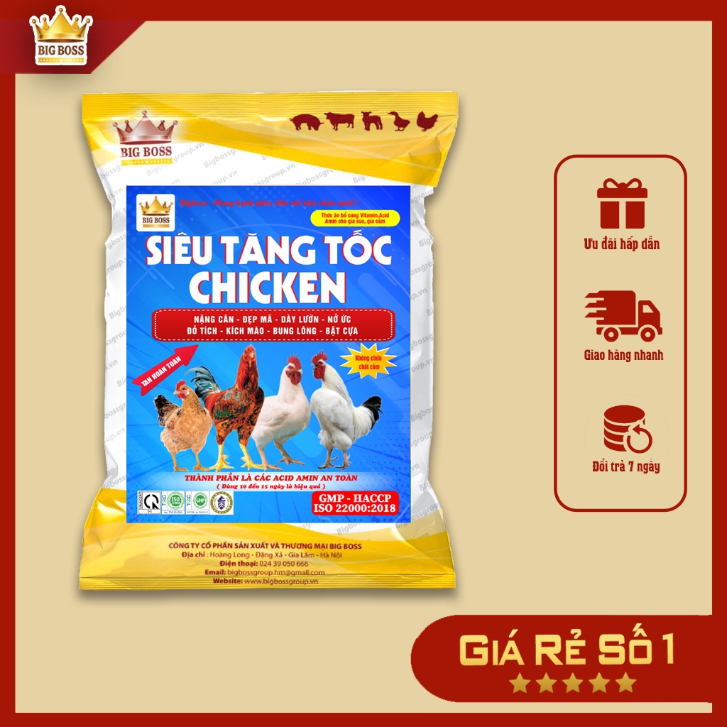 Vỗ béo cho gà an toàn, hiệu quả - Tăng tốc Gà