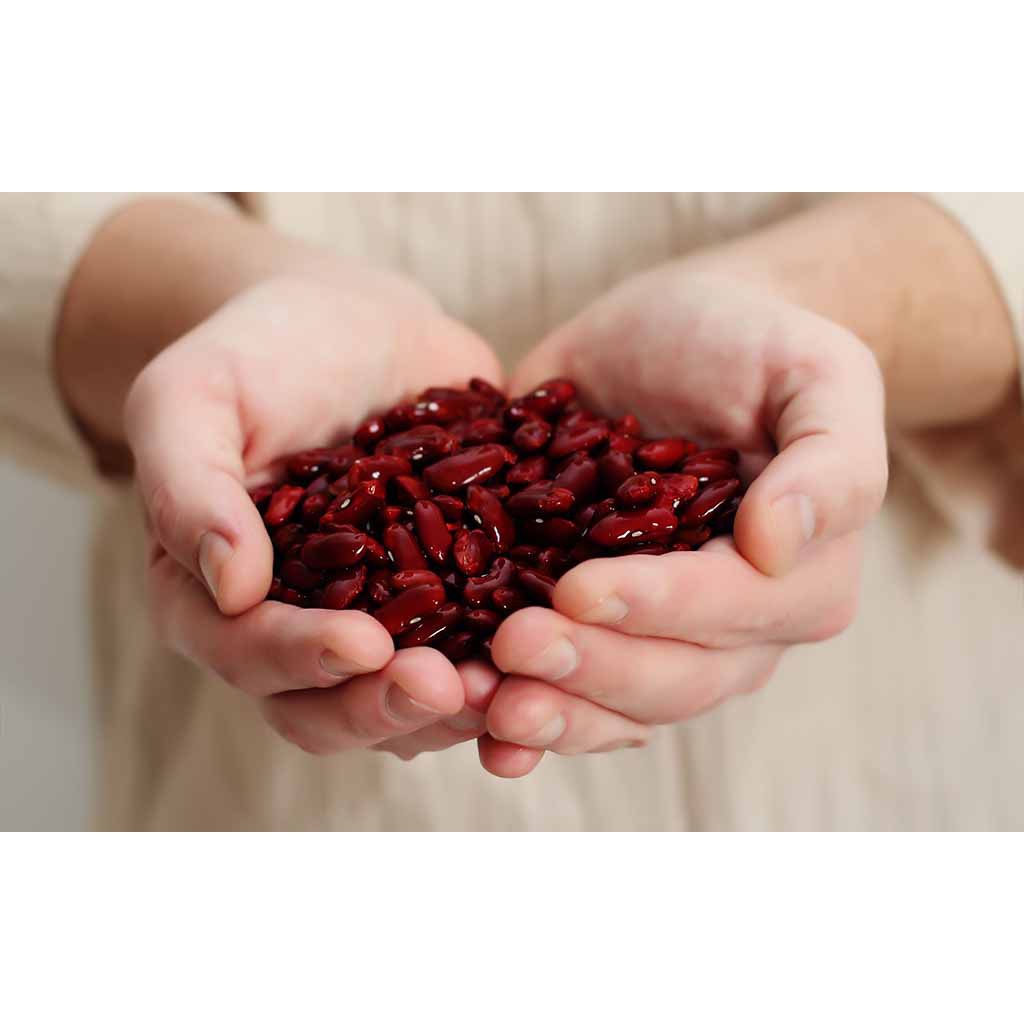 1 Kg Bột Đậu Đỏ Xay Mịn Thảo Mộc Xanh | BigBuy360 - bigbuy360.vn