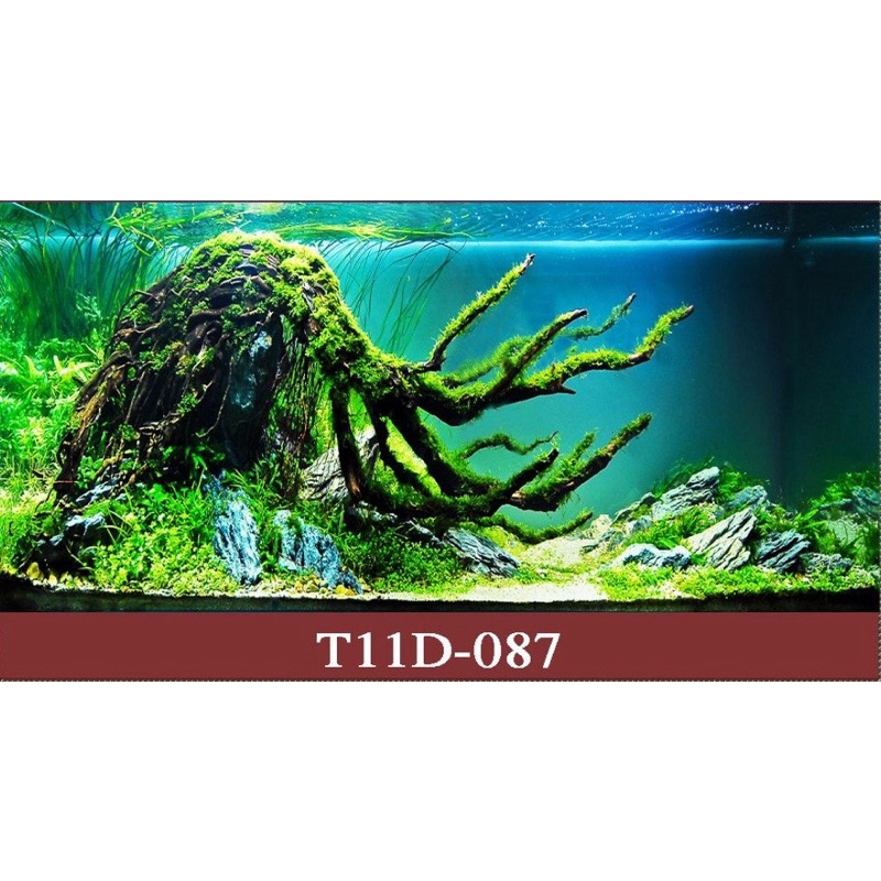 Tranh 3D trang trí hồ cá, bán cạn tiểu cảnh - chủ đề Đại dương xanh part 2