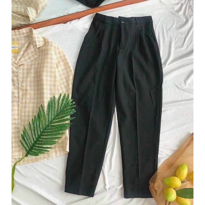 Quần Tây baggy 222 (10)