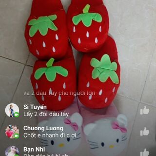 Combo 4đôi dép thú