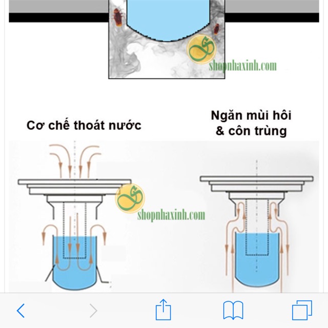 Phễu thoát sàn - xi phông - bộ xả chống hôi cao cấp 12x12