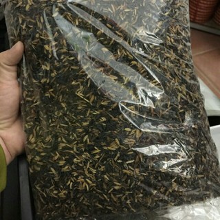 Tro trấu hun đã qua xử lý 1 Kg/gói