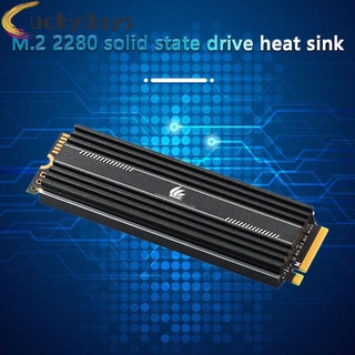 LUCKYDAYS M.2 SSD Heatsink Cooler M2 2280 Solid State Hard Disk Radiator Thermal Pad