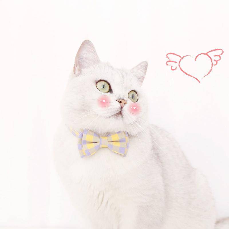 Vòng Cổ HìNh Nơ Xinh XắN Cho Thú Cưng