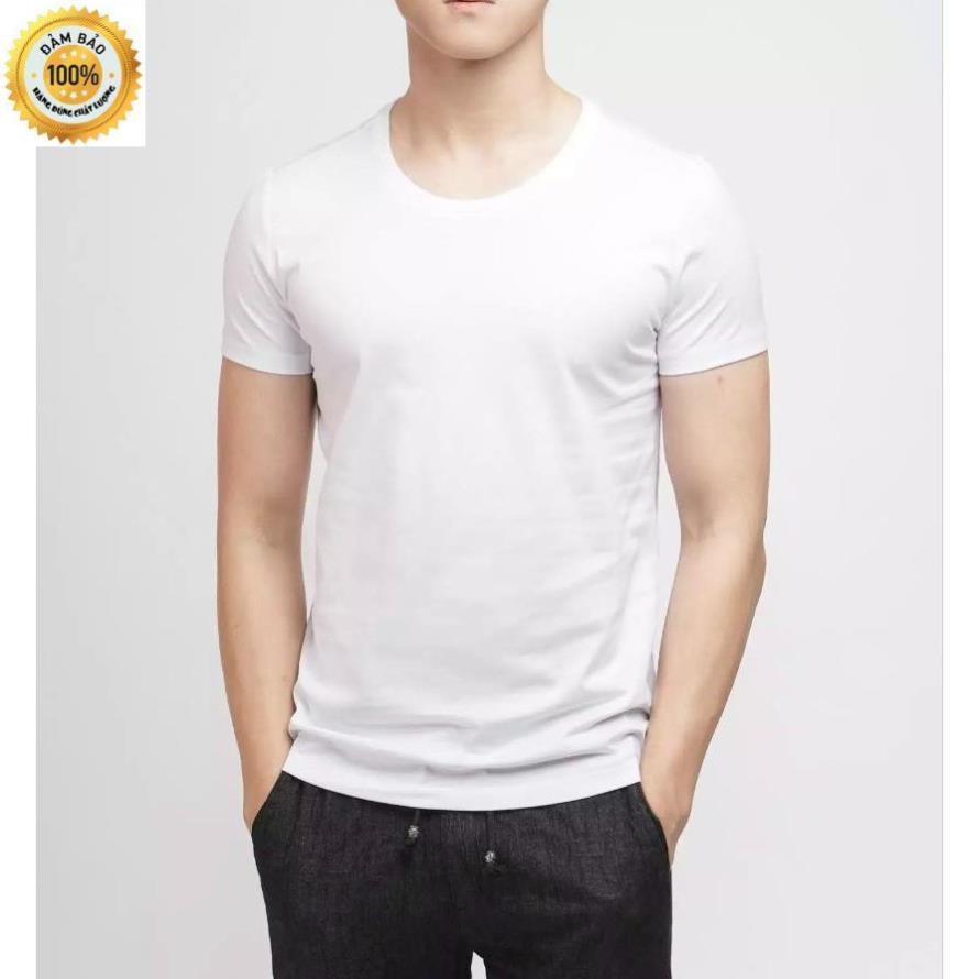 Áo thun nam trơn TTGShcmfashion cao cấp ATTR101