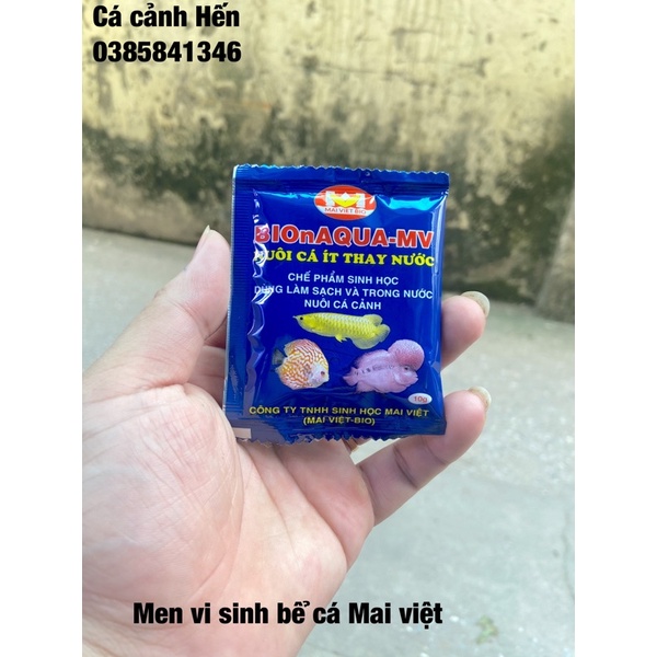 Men vi sinh làm trong nước bể cá Mai việt