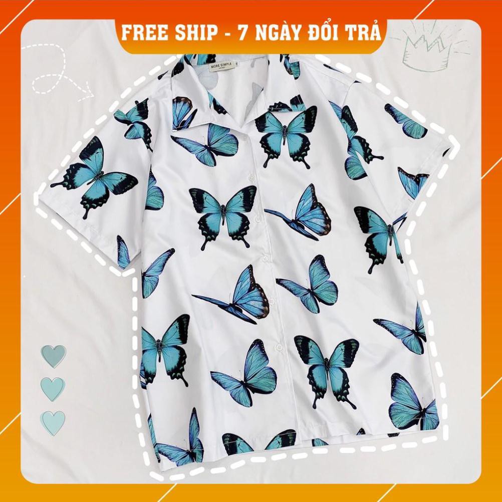 Áo Sơ Mi Tay Lỡ In Họa Tiết Bướm Xanh V1 Unisex (Trắng/Đen) | BigBuy360 - bigbuy360.vn