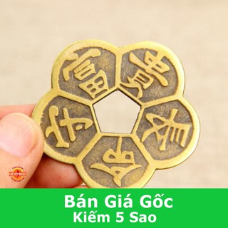 Hoa mai kim tiền - Đồng tiền hoa mai may mắn