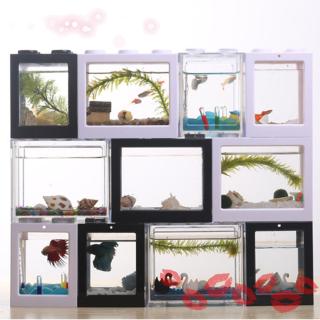 Bể Cá Mini Siêu Bền Độc Đáo