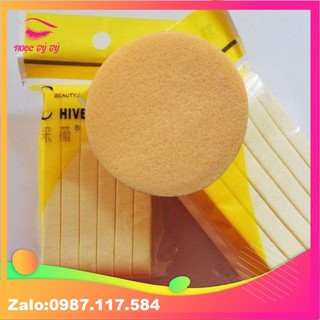 12 miếng bọt biển