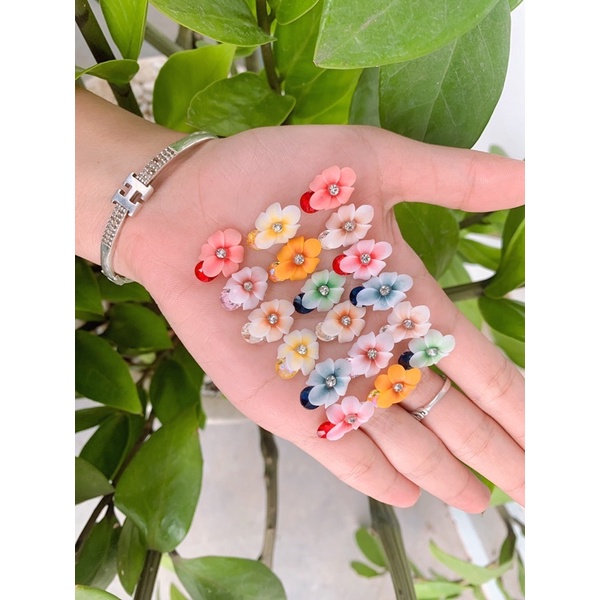 hoa nail- hia bột ( mai đá)