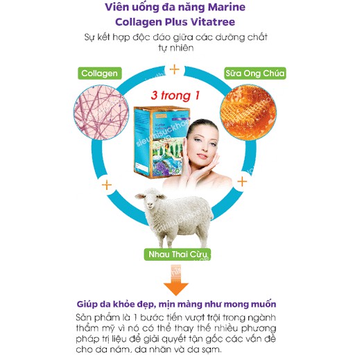 Vitatree Marine Collagen 3in1 Collagen Nhau thai cừu Sữa ong chúa