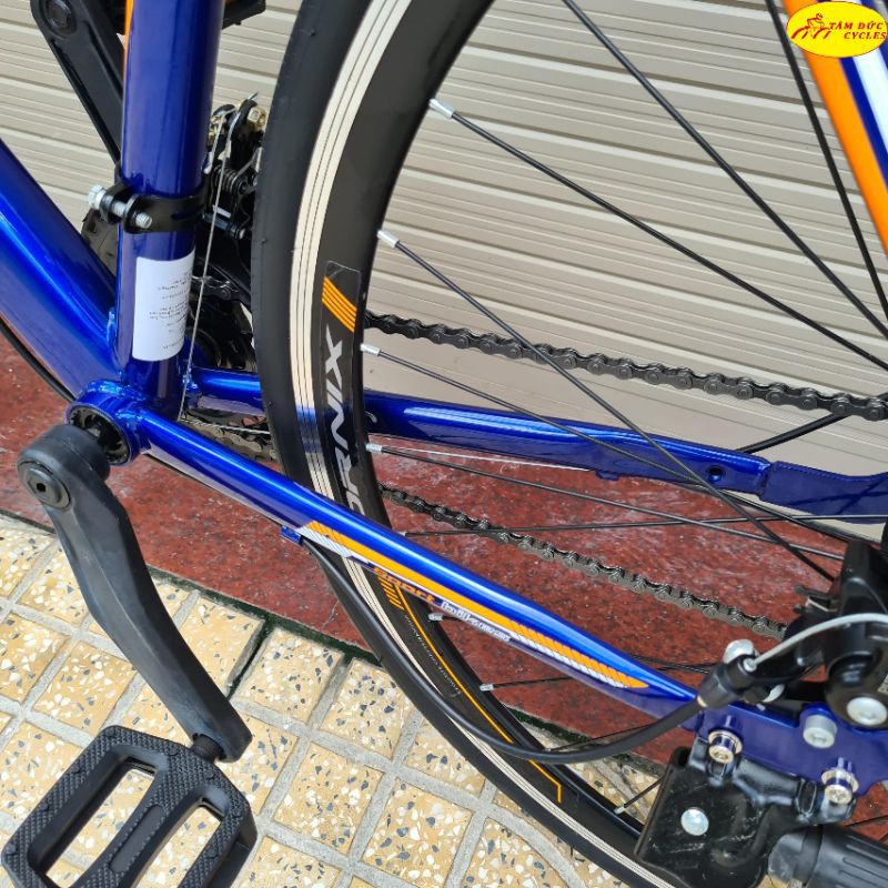 xe đạp Fornix Fr303