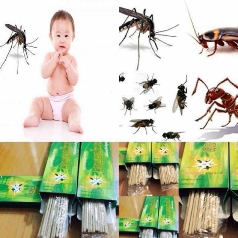 Hương diệt đuổi muỗi côn Thái Lan