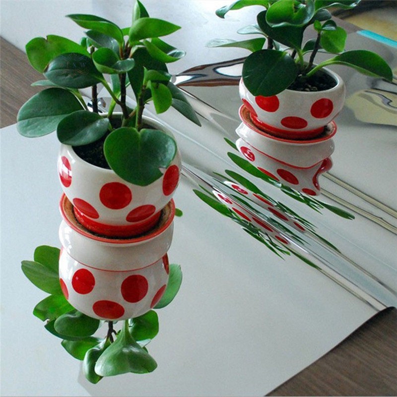 Gương dán tường 50x100cm
