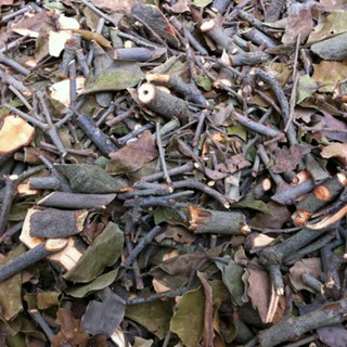 1kg cây tầm gửi gạo