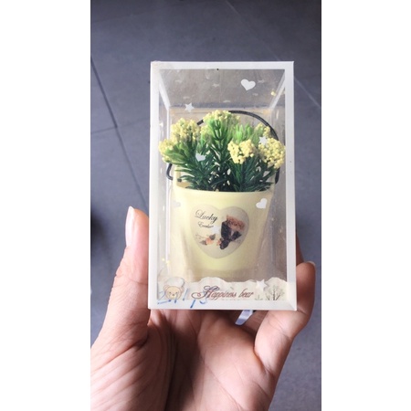 Chậu tiểu cảnh bằng nhựa để bàn