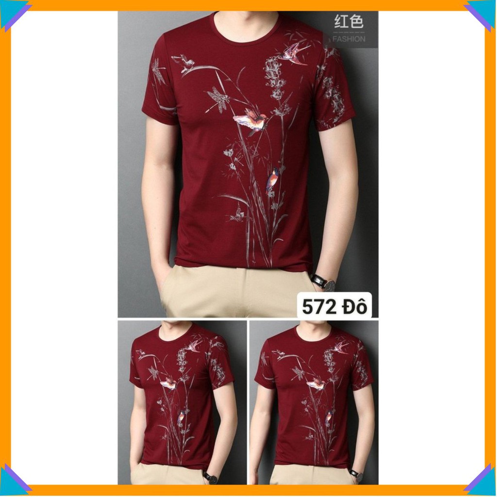 Áo Thun Nam 🔴FREESHIP🔴 Áo Phông Nam Body Tay Ngắn Cổ Tròn Cao Cấp MS NA572 | BigBuy360 - bigbuy360.vn