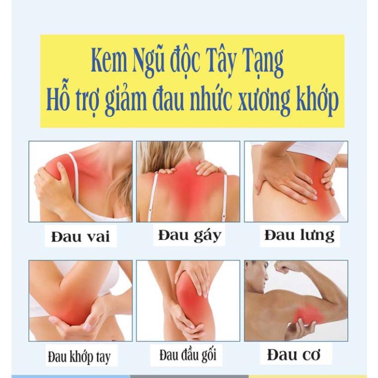 Kem xoa bóp Ngũ Độc Tây Tạng hỗ trợ giảm đau nhức xương khớp