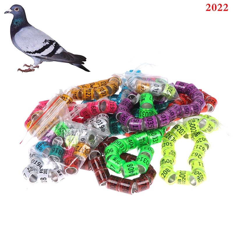 Bộ 20 Khuyên Xỏ Chân Chim Bồ Câu
