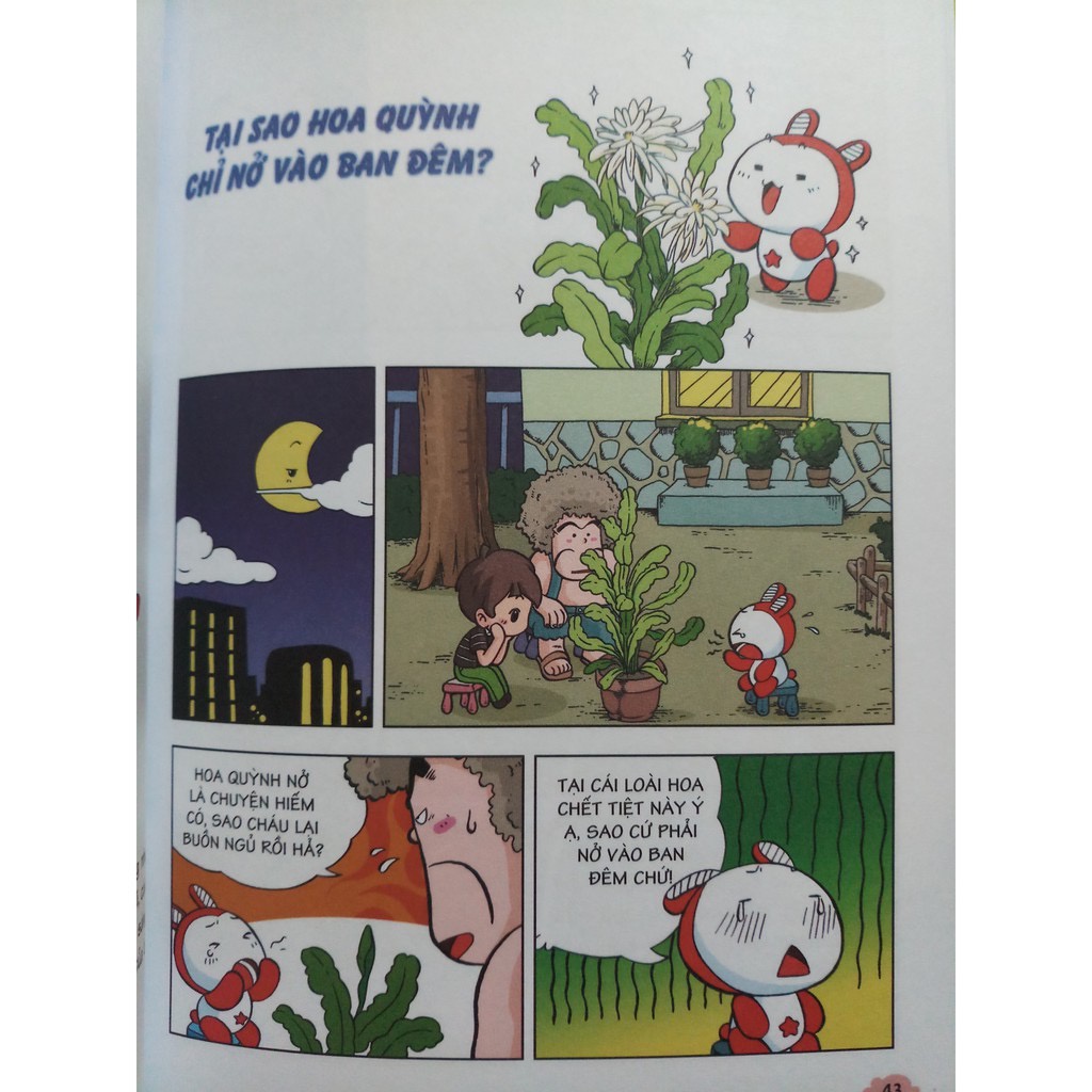 Sách - 10 vạn câu hỏi vì sao cho bé (Nhiều chủ đề)